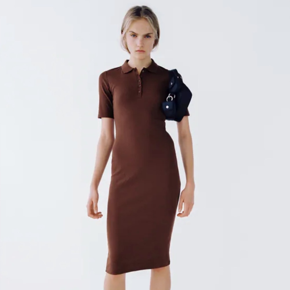 Zara Brown Polo Dress